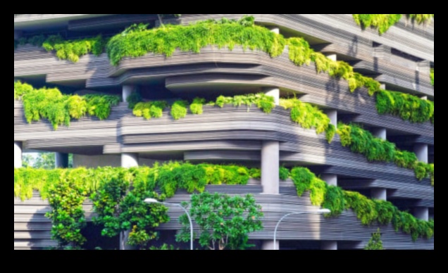 Pilsētas flora: augi un ziedi pilsētas parkos