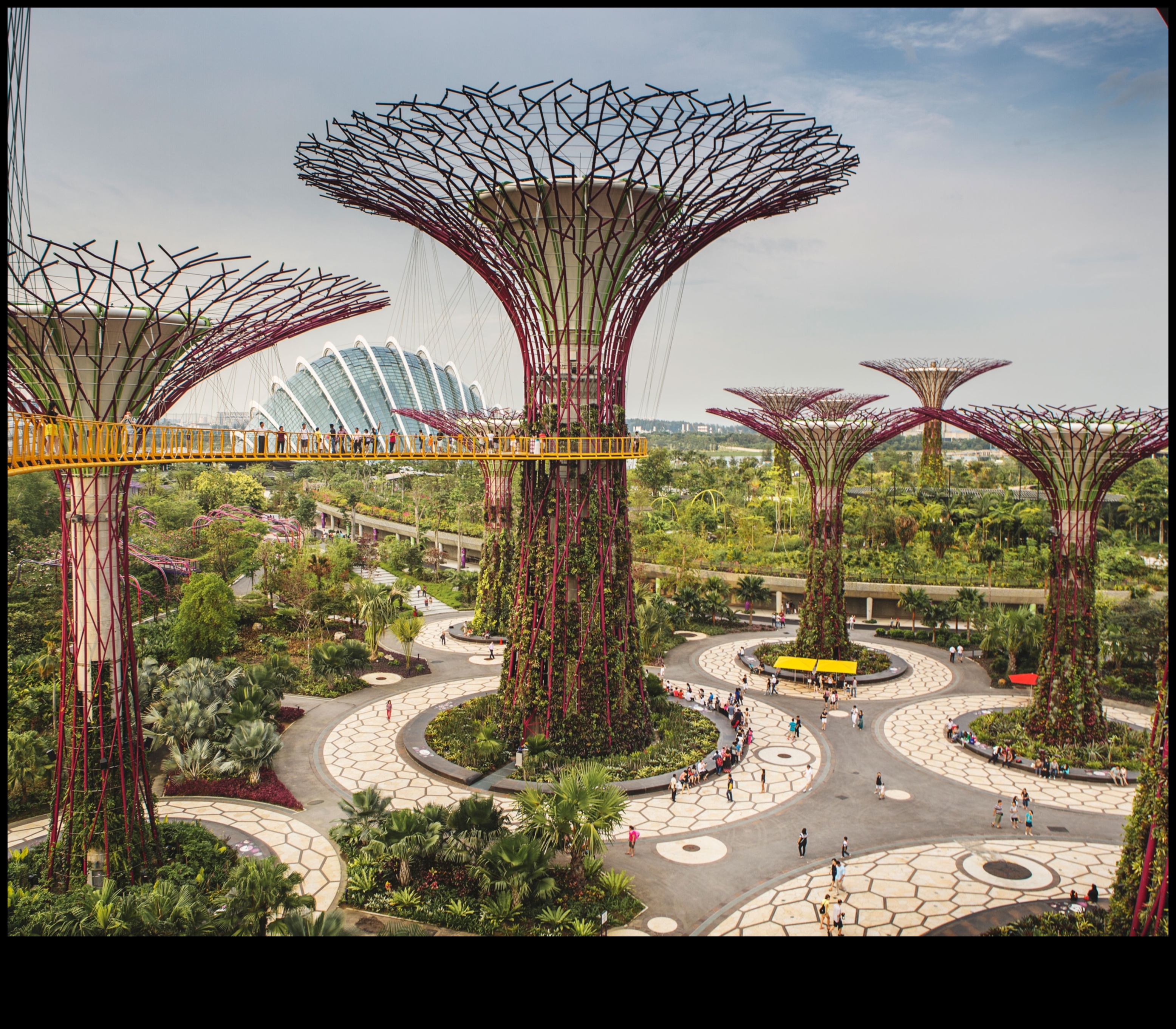 Pilsētas flora: augi un ziedi pilsētas parkos