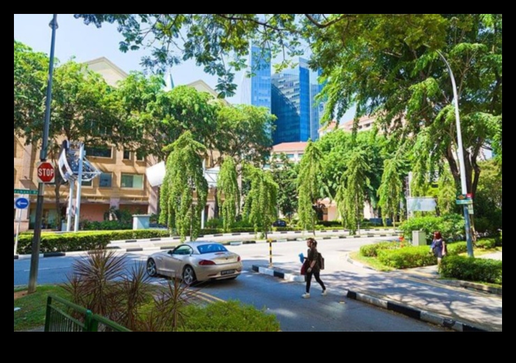 Pilsētas flora: augi un ziedi pilsētas parkos