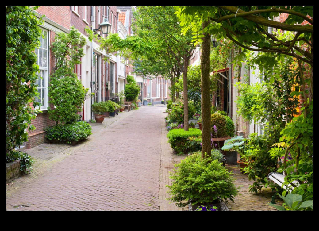 Pilsētas flora: augi un ziedi pilsētas parkos