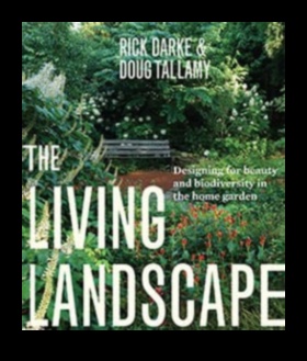 Dzīvā ainava 5 Zemes vīzijas: gleznains ceļojums pa skaistām ainavām