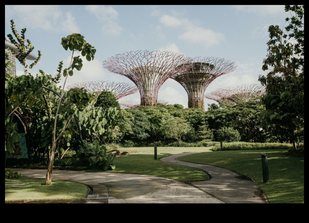 Botāniskie dārzi, kas kopj bioloģisko daudzveidību 3 Kāda loma augu daudzveidības saglabāšanā ainavās ir botāniskajiem dārziem?