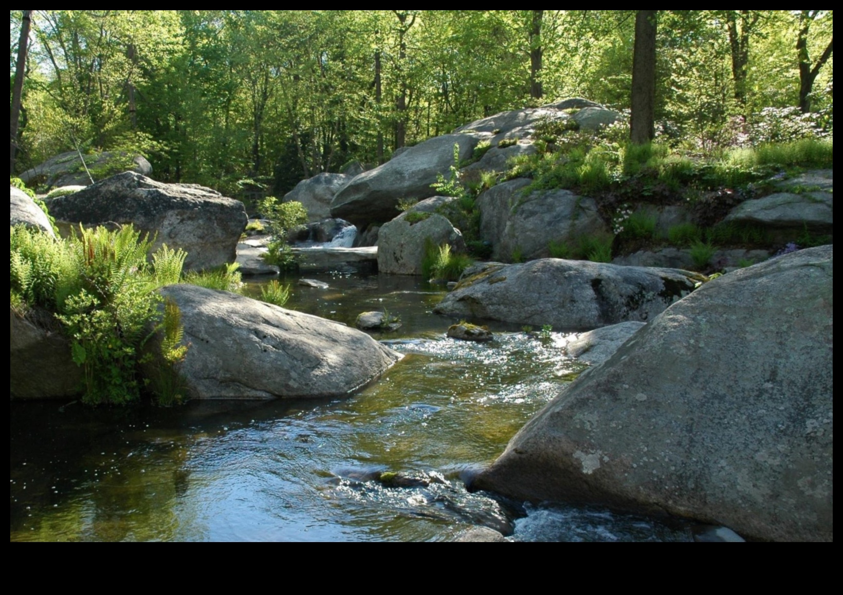 Dzīvības plūsmu plūsma un to nozīme 2 Rivulets III ritmi: straumes un līči, kas atkal plūst pa dažādām ainavām