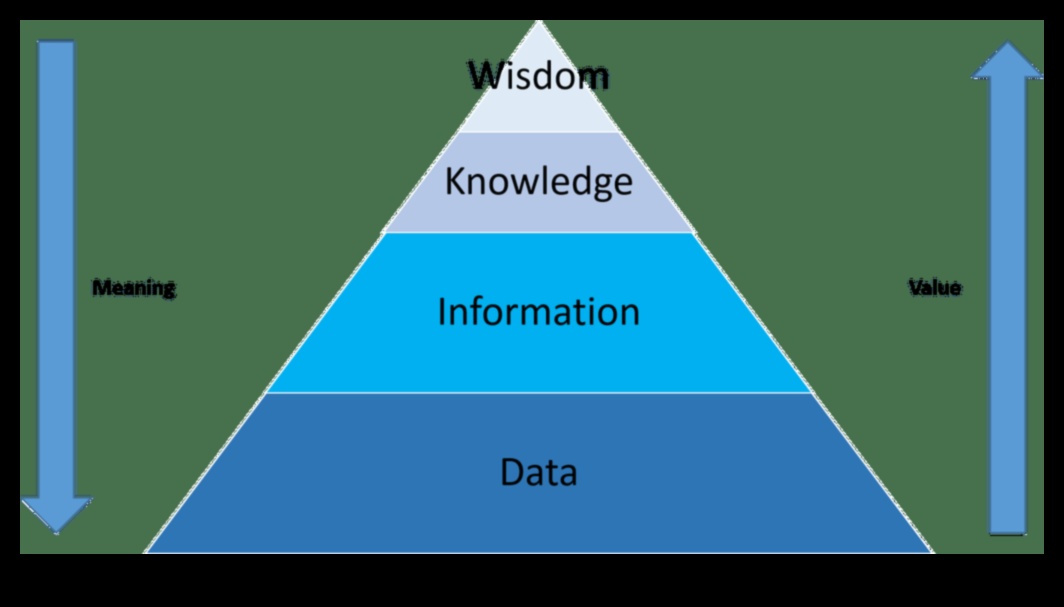 Analīze vīzijā: biznesa inteliģences meistarības ceļveža izstrāde
