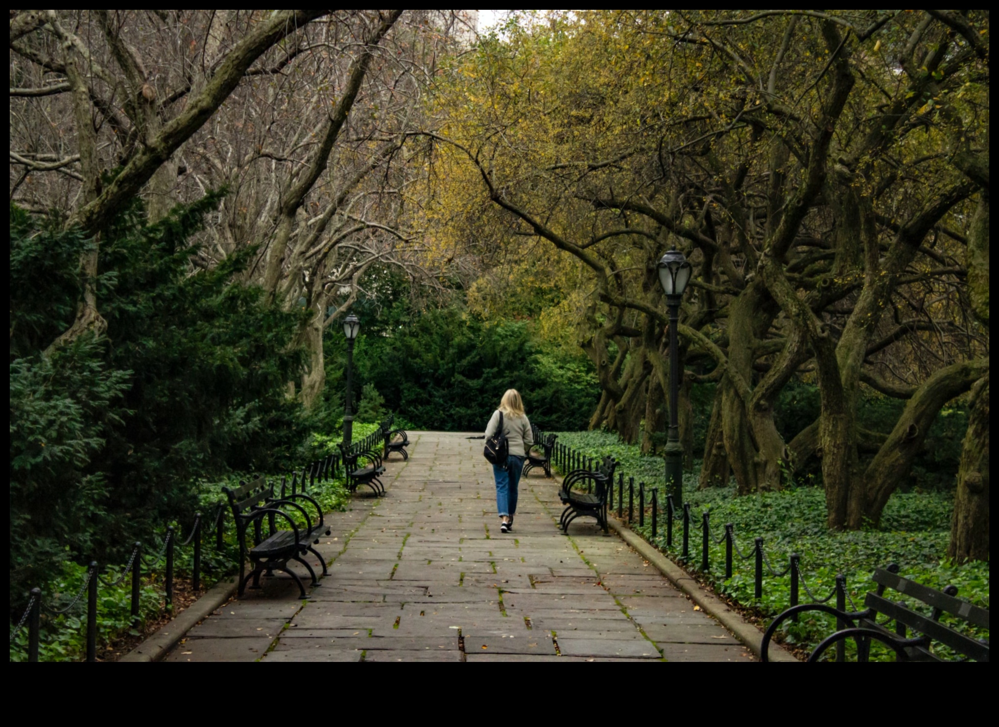 Dabas oāze — patvērums no betona džungļiem 4 Dabas oāze: vizuāla atkāpšanās mierpilnās un atsvaidzinošās ainavās