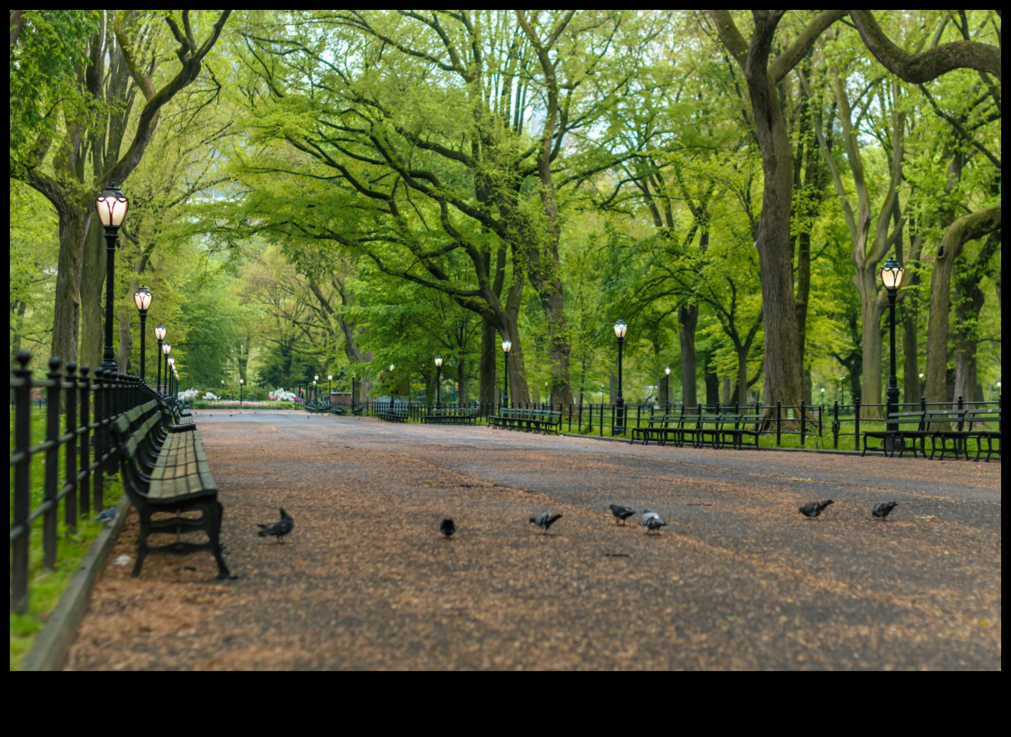 Dabas oāze — patvērums no betona džungļiem 2 Dabas oāze: vizuāla atkāpšanās mierpilnās un atsvaidzinošās ainavās