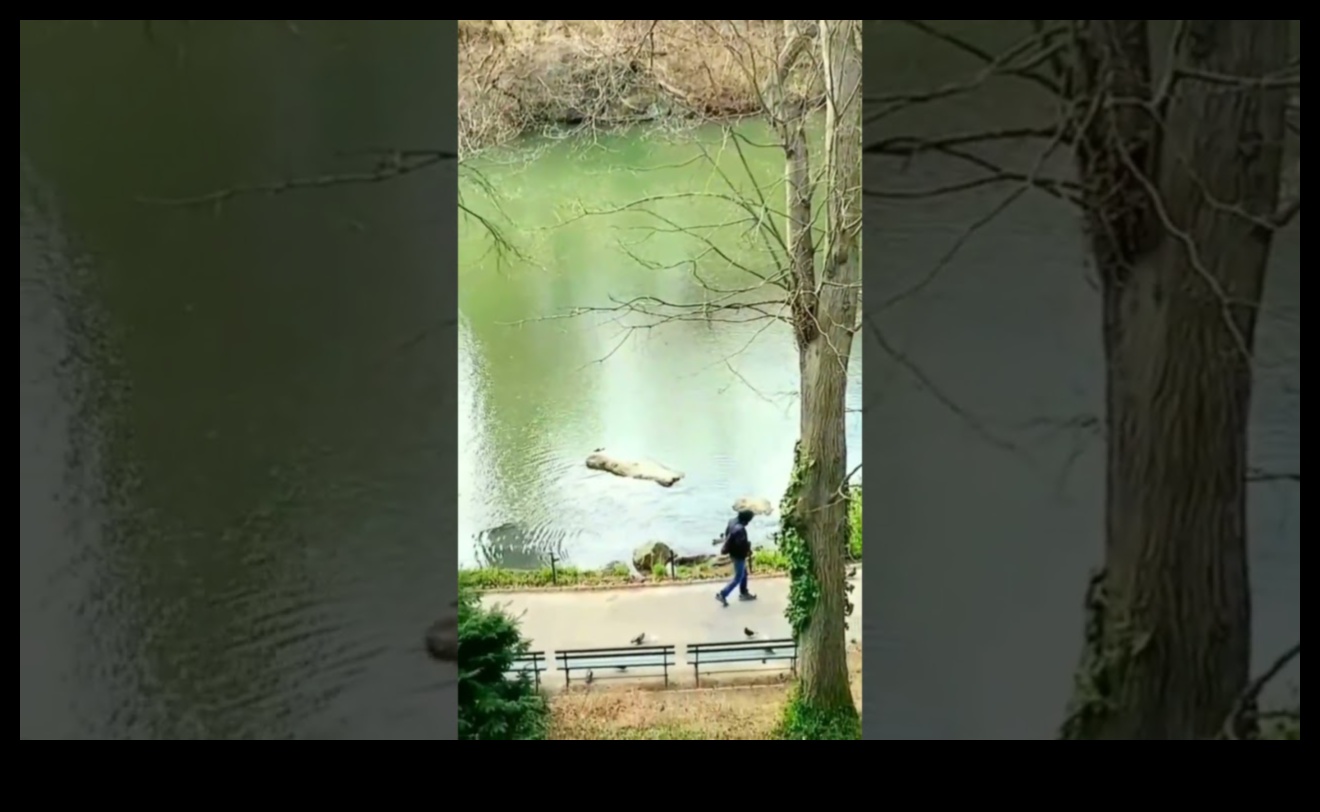 Dabas oāze — patvērums no betona džungļiem 5 Dabas oāze: vizuāla atkāpšanās mierpilnās un atsvaidzinošās ainavās