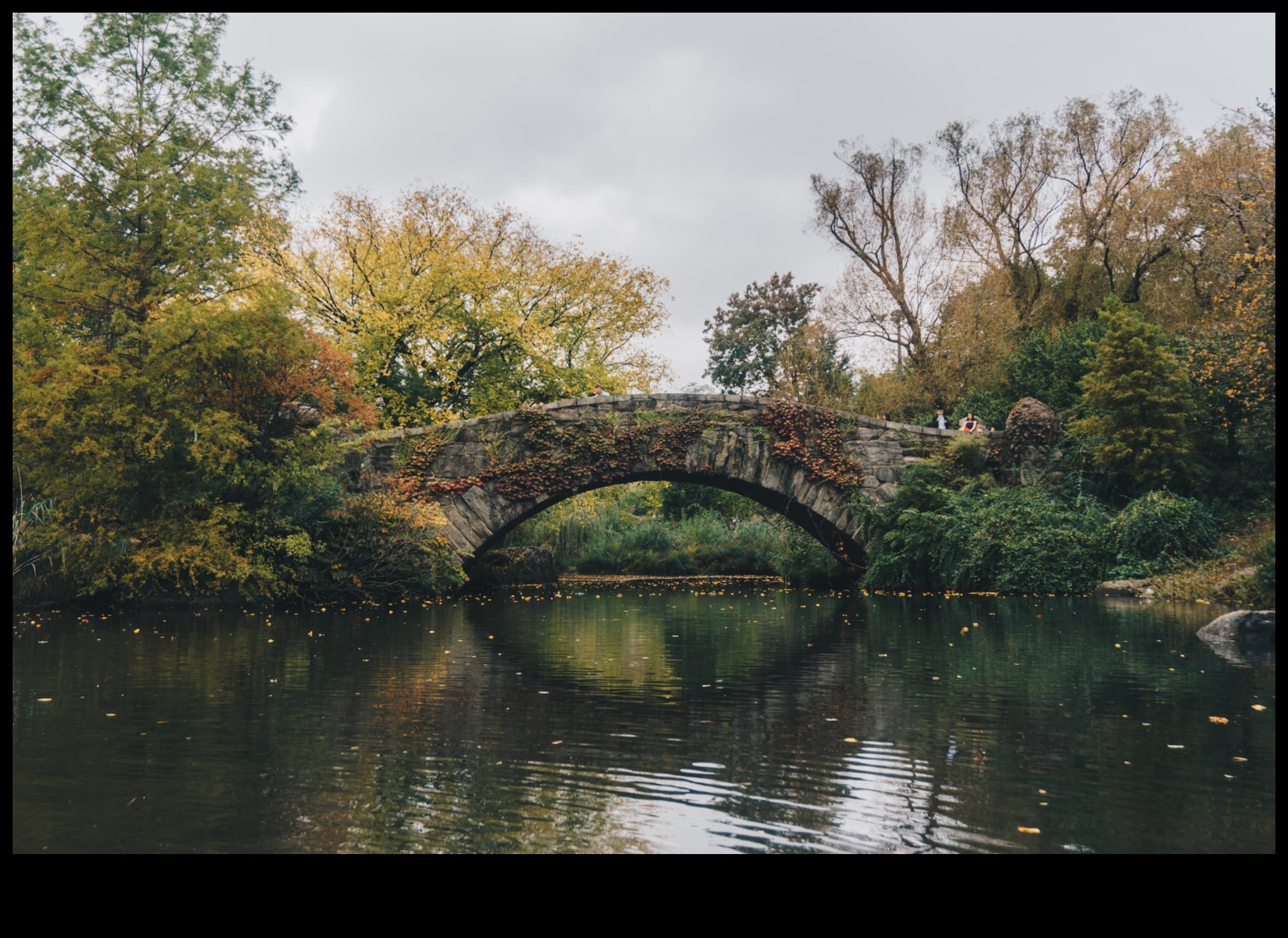 Dabas oāze — patvērums no betona džungļiem 3 Dabas oāze: vizuāla atkāpšanās mierpilnās un atsvaidzinošās ainavās