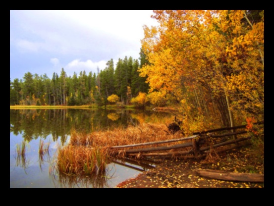 Kāpēc noteiktas ainavas izraisa nostalģijas sajūtu?