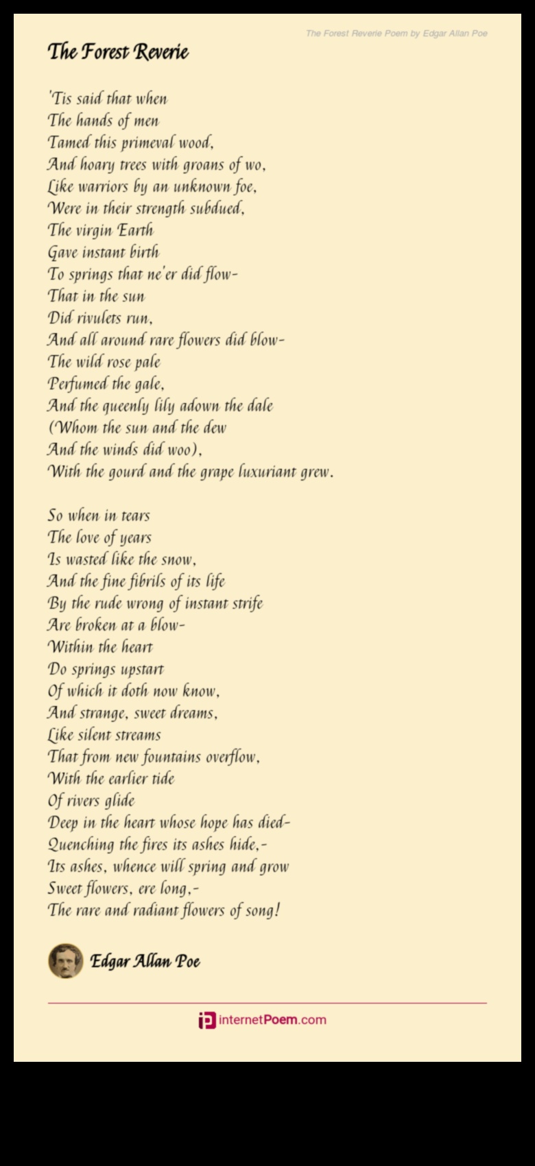 River Reverie: Strauju un līču dzejas izpēte ainavās