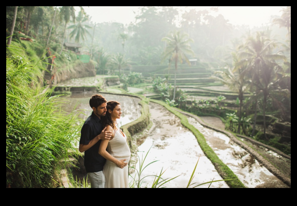 Babymoon Bliss Ceļvedis, kā ceļot labi mazuļa veselībai 2 Babymoon Bliss: labi ceļojot mazuļa veselībai
