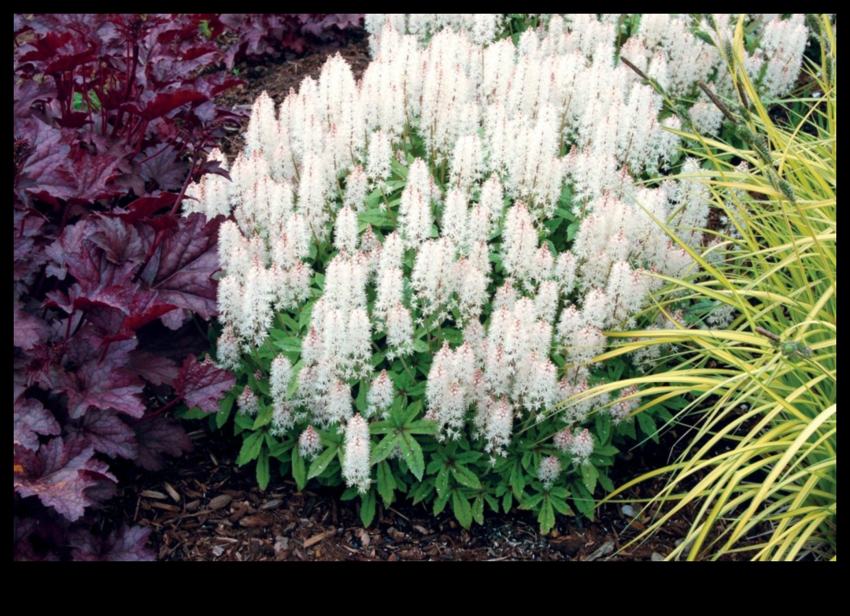 Ziedēšanas sākums: atklāti pavasara ziedi
