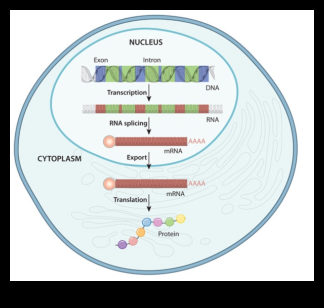 Ģenētiskās ekspresijas biotehnoloģijas evolūcija cauri laikiem 2 Ģenētiskās izpausmes evolūcija: biotehnoloģija cauri laikiem
