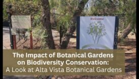 Botāniskie dārzi, kas kopj bioloģisko daudzveidību 2 Kāda loma augu daudzveidības saglabāšanā ainavās ir botāniskajiem dārziem?