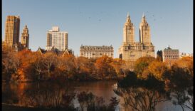 Dabas oāze: vizuāla atkāpšanās mierpilnās un atsvaidzinošās ainavās