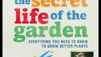 Zaļās atpūtas vietas: no jauna atklāti dārzi un zaļās zonas