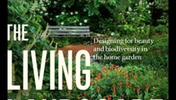 Zemes vīzijas: gleznains ceļojums pa skaistām ainavām