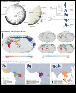 Ģenētiskās izpausmes evolūcija: biotehnoloģija cauri laikiem