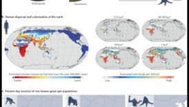 Ģenētiskās izpausmes evolūcija: biotehnoloģija cauri laikiem