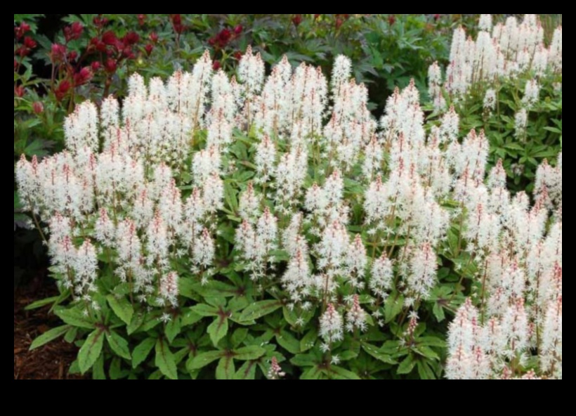 Ziedēšanas sākums: atklāti pavasara ziedi