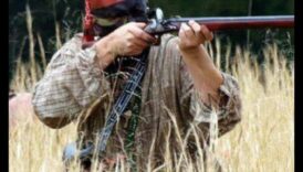 Coastal Chronicles III: Fresh Tales Along Coastal Marvels Extended