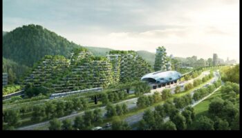 Pilsētas flora: augi un ziedi pilsētas parkos