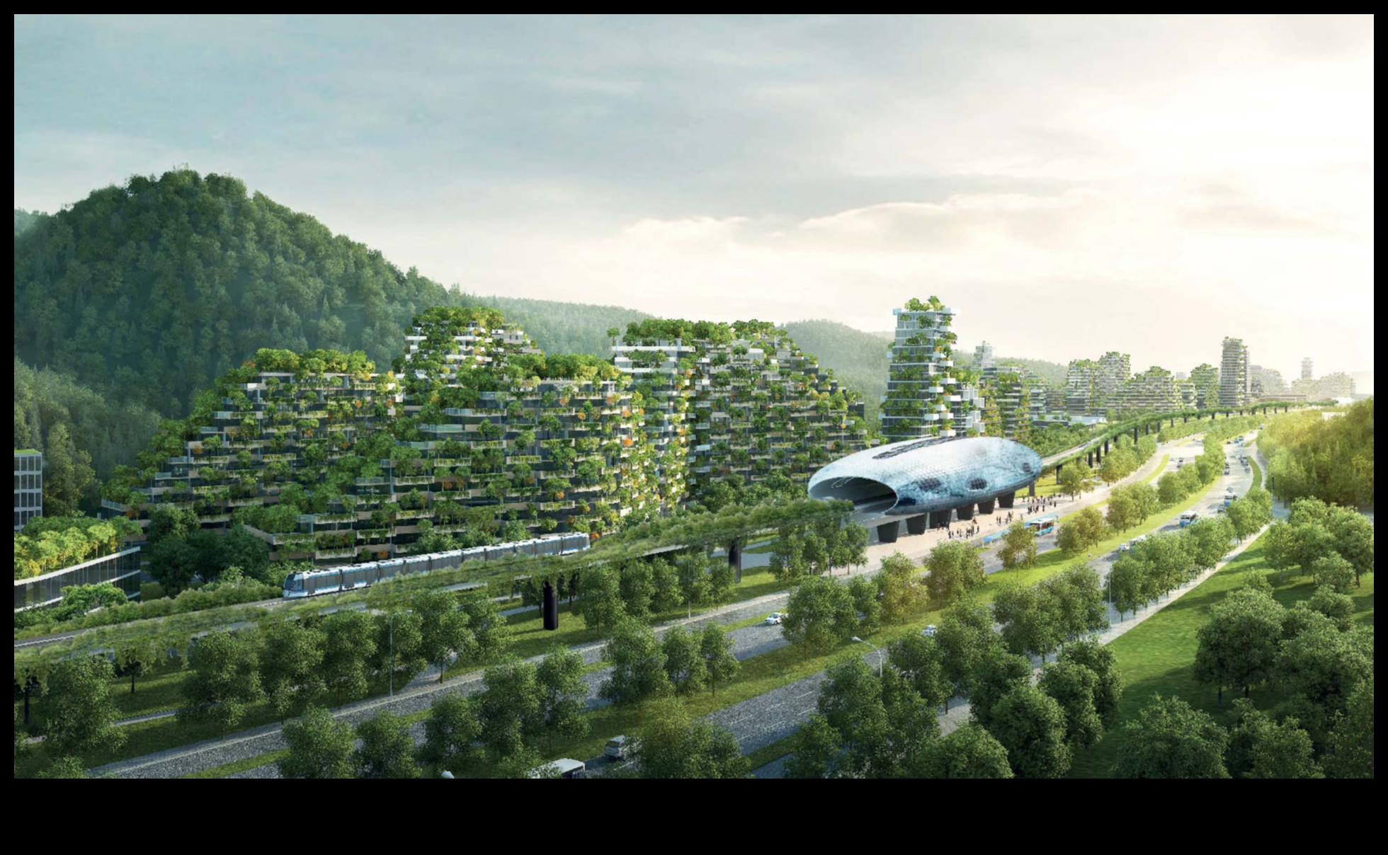 Pilsētas flora: augi un ziedi pilsētas parkos