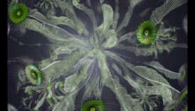 Radošā kodēšana: vizuālās mākslas valoda biotehnoloģijā