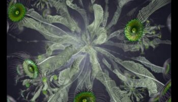 Radošā kodēšana: vizuālās mākslas valoda biotehnoloģijā