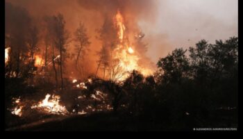 Kāpēc noteiktas ainavas ir vairāk pakļautas ugunsgrēkiem?