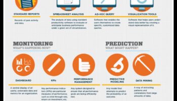 Analīze vīzijā: biznesa inteliģences meistarības ceļveža izstrāde