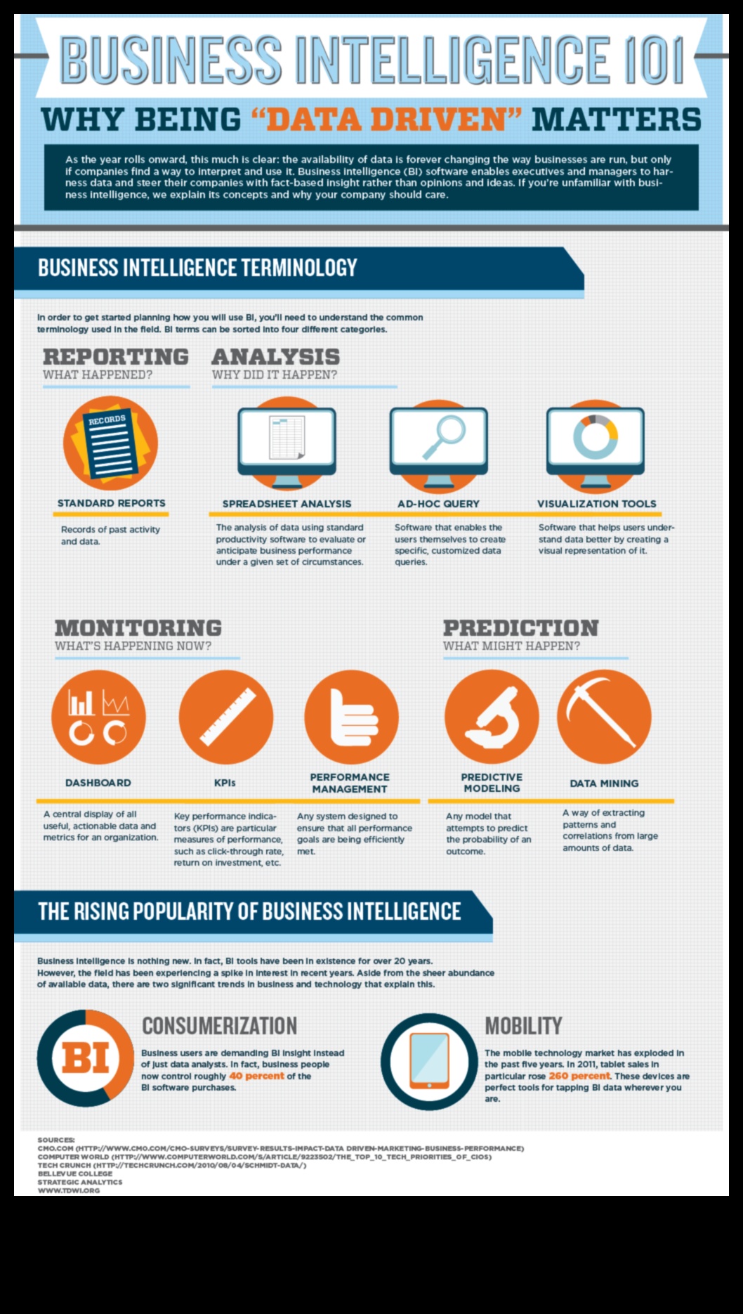 Analīze vīzijā: biznesa inteliģences meistarības ceļveža izstrāde